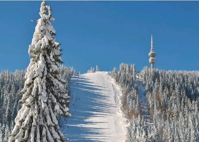 Апартамент Private In Grand Monastery Пампорово